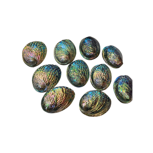 Vietnam Natural <b>Abalone</b> <b>Shell</b> for Inlay Crafts Jewelry Accessories Decorative Art Home Decor Projects and Gift Packaging - Product Image 3