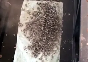 Trituradora de Radiadores de Aluminio y Cobre de la Mejor Calidad, Utilizada para Reciclar Residuos Automotrices, Trituradora de Ejes Duradera - Product Image 6