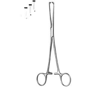 Intestins et ventre - Product Image 1