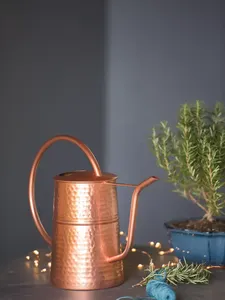 Arrosoir d'intérieur élégant en laiton de qualité supérieure, outil de jardin de luxe, arrosoir en métal fait main, arrosoir en métal artisanal - Product Image 1