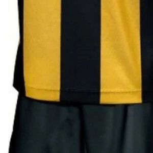 Tenue de rugby jaune et noire pour hommes : maillot et short légers, kit d'équipe athlétique respirant, vêtements de sport pour entraînement et match - Product Image 5