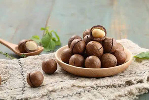 Nueces de macadamia tostadas con cáscara, calidad premium, venta al por mayor directa de fábrica, de Vietnam - Product Image 5