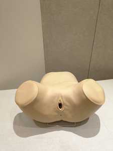 Simulador de Ginecología Kara Mediclust, Práctica Quirúrgica Manual, Entrenamiento de Alta Fidelidad para Profesionales Médicos - Product Image 2