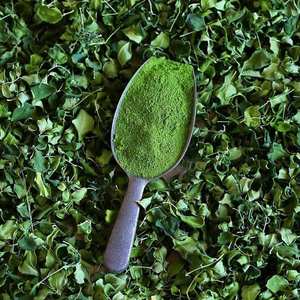 Poudre de feuilles de Moringa naturelle pour la production d'aliments à base de plantes, poudre de feuilles vertes de qualité supérieure pour les marchés de gros et de détail - Product Image 1