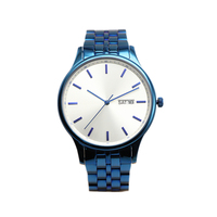 Montre personnalisée en acier inoxydable pour hommes Montre de plongée en acier avec mouvement à quartz Marqueurs de cadran lumineux dans les montres à quartz en acier