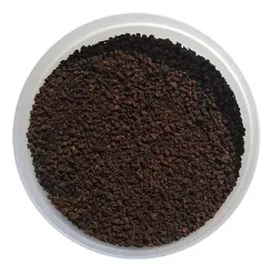 Thé vert d'Assam 100% naturel, approvisionnement frais, marque OJISHTHA, durée de conservation de 24 mois, Camellia sinensis var. assamica - Product Image 6