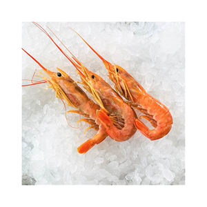 Camarones rojos congelados a precio de fábrica, mariscos de primera calidad disponibles para suministro a granel y compradores mayoristas - Product Image 3