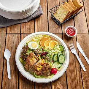 Bandejas de Comida Cuadradas de 9 Compartimentos de Bagazo para Servir Alimentos Naturales al por Mayor, Ideales para Fiestas y Picnics - Product Image 5