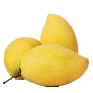 Mangue fraîche de haute qualité // Mangue Cat Chu - Product Image 3