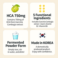 Comprimés effervescents OEM de Vitamine D, B6, Niacine et HCA 375mg – Soutien Diététique, Énergie, Immunité Renforcée – Complément Multivitaminé à Boire pour