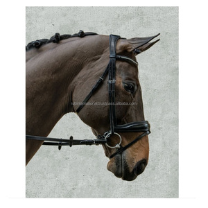 Brida Ajustable de Cuero Marrón de la Mejor Calidad para Caballo Islandés, Diseño Anatómico Cómodo con Cristales, Marca International - Product Image 2