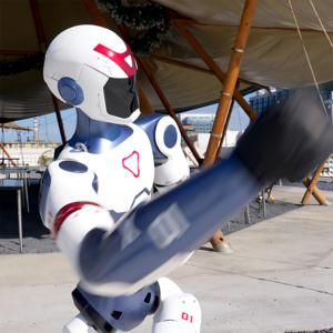 רובוט כלב Unitree Go2 Pro AI בעל ארבע רגליים, רובוטיקה עם אינטליגנציה מובנית לבדיקה תעשייתית, חינוך ומחקר, ארצות הברית - Product Image 2