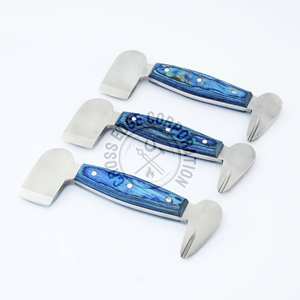 Las mejores herramientas de herradura mejor calificadas, amortiguador de zapatos, instrumento veterinario de acero inoxidable para el cuidado de la herradura, amortiguador de pezuña de caballo - Product Image 1