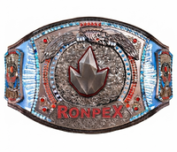 Ceinture de boxe unisexe Ronpex sur mesure pour adultes, 100 % coton, légère, haute qualité, service OEM, usine d'arts martiaux