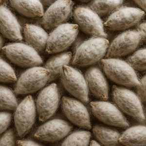 Graines de coton de qualité supérieure pour la plantation agricole, l'agriculture commerciale, les marchés de gros et d'exportation - Product Image 4