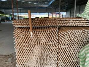 [สินค้าขายดี] เสาค้ำต้นไม้แบบยืดหดได้ BLUE LOTUS FARM ทำจากใยมะพร้าวธรรมชาติ สำหรับการเพาะปลูกพืชสวนและการฝึกปลูกไวน์ - Product Image 3