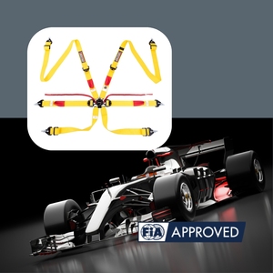 SPORT PLUS 3 Racing Safety Harness FIA 8853 2016 50mm Belt with Securing Velcro for OEM ODM Brand Wholesale Service - Product Image 2