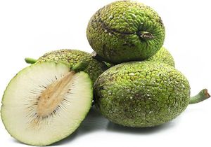 Farine de fruit à pain naturelle sans gluten, poudre végétale pour gâteaux, pains, biscuits, smoothies et production d'aliments sains, vente en gros - Product Image 3