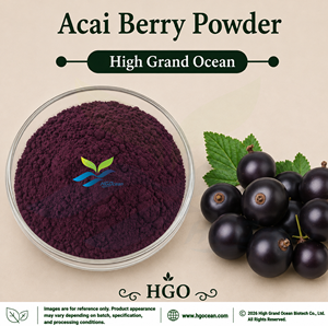 HGO Factory Direct Supply of Pure Natural Acai Berry Powder (Food Grade) Fruit powder Spray Drying or Freeze-dried powder - Product Image 1