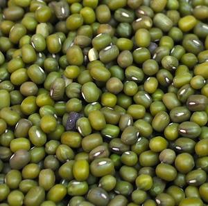 Frijoles Mung Enteros Frescos de Cultivo Tailandés, Baja Humedad Controlada, Alta Pureza 99%, para Producción de Sopas y Procesamiento de Snacks - Product Image 6