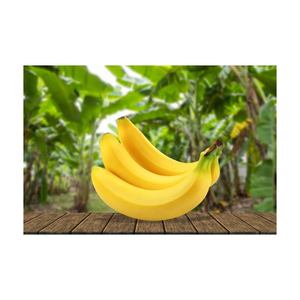 Bananes fraîches de qualité supérieure pour les acheteurs en gros, l'exportation, les commandes en gros et les marchés commerciaux - Product Image 6