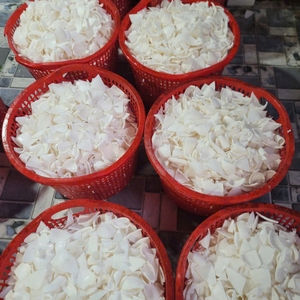 Venta al por mayor de carne de coco congelada IQF de Vietnam para alimentos, para importadores globales de snacks y paquetes de alimentos exóticos por 99 Gold Data - Product Image 1