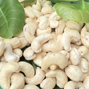 Good Quality Cashew W180 Cashew <b>Nuts</b> From Manufacture Santigo - Product Image 1