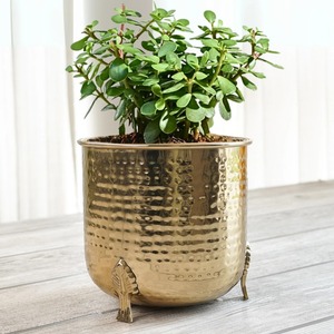 Macetero Decorativo de Metal con Patrón Martillado, Hecho a Mano para Reflejar Calidad, Sofisticación y Legado del Arte Metálico Indio - Product Image 5