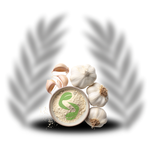 Superior Garlic <b>Extract</b> for Bulk Buyers in Food Industry, Flavor Blends and Processed Product Manufacturing - Product Image 1