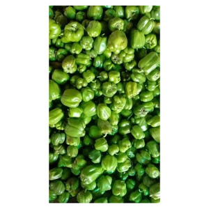 Mejor precio de fábrica, pimiento fresco congelado IQF, pimiento rojo, amarillo, verde, exportador de pimientos. - Product Image 3