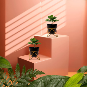 Juego de 2 Macetas de Metal Negro con Soportes de Hierro, Macetas Elevadas Modernas para Decoración Interior Contemporánea, Jardín Interior - Product Image 3