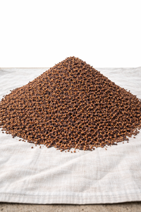 Fournisseur et exportateur indonésien d'épices clous de girofle séchés, FIDÈLE, PRÊT POUR COMMANDE EN GROS DANS LE MONDE ENTIER, Processus FOB/CIF AD, Sacs PP de 25 kg, Grade AB - Product Image 4