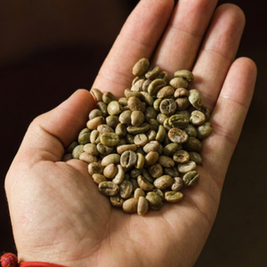 Luxury Vietnamese Green <b>Robusta</b> <b>Coffee</b> <b>Beans</b> | Exclusive Export-Grade Bulk Supply | Natural Unroasted Seeds | OEM/ODM Service - Product Image 4