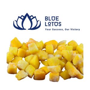 Purée de mangue surgelée de qualité supérieure, disponible en gros pour les poudings et desserts, exportation. - Product Image 1