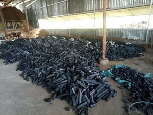 Alta calidad respetuoso con el medio ambiente Binchotan palo de carbón negro exportación directa del fabricante café barbacoa madera dura bulto Vietnam - Product Image 5