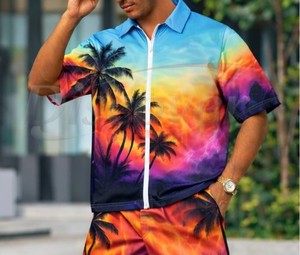 Ensemble polo et short pour homme avec fermeture éclair, sublimation personnalisée, 2 pièces, vêtements de plage, style hawaïen, tenue décontractée d'été - Product Image 3