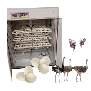 Incubadora de <span class=keywords><strong>huevos</strong></span> de <span class=keywords><strong>avestruz</strong></span> con capacidad para 72 <span class=keywords><strong>huevos</strong></span>, modelo HJ-I13 - Product Image 1