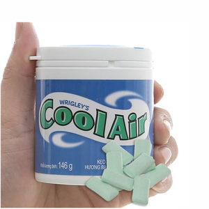Chicle de Mentol y Eucalipto al por Mayor 146g Marca Cool Air Sin Azúcar Chicle Refrescante Precio Competitivo Exportación - Product Image 3