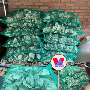 Conchas de Ostra Ionizadas, Medio Filtrante para Acuarios, Neutralizador de Ácido para Equilibrar el pH, Conchas Trituradas para Filtro Biológico de Estanques Koi - Product Image 2