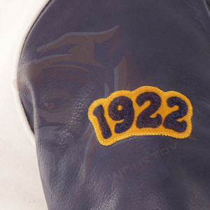 Chaquetas Varsity de Invierno para Hombre, Último Diseño, Gran Venta, Servicios OEM, Material de Buena Calidad - Product Image 6