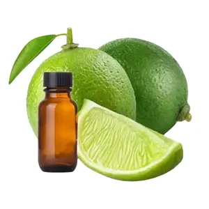 Fabricant de vente en gros d'huile essentielle Pure OEM huile essentielle de citron vert naturelle et biologique fabriquée en inde