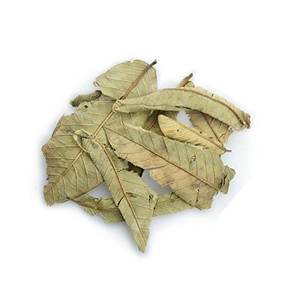 Hot Deal Premium Bio Pure Demi Feuilles de goyave-Goyave verte Feuilles en vrac Tisane Avantages pour la santé humaine - Product Image 1