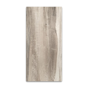 Azulejos de Porcelana Esmaltada de 60x120cm, Azulejos de Lujo para Pisos y Paredes de 600X1200 MM, Porcelana para Interiores Modernos, Solución Duradera y Elegante - Product Image 1