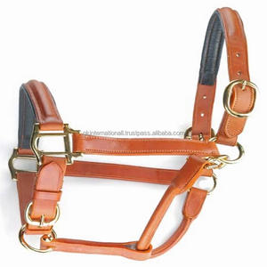 Productos ecuestres de Carreras de Caballos personalizados, cabestro acolchado de cuero genuino bronceado duradero con herrajes de latón macizo - Product Image 2