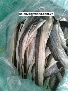 สกินปลาแห้ง/สแน็ค-ทอด (กรอบ) ของหนังปลาสวาย-ปลาแซลมอนผิวราคาถูกมากจากเวียดนาม/ลิมา - Product Image 5