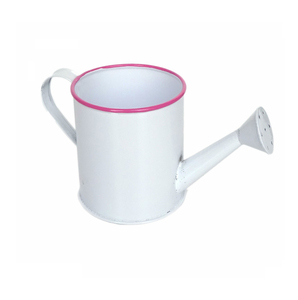 Arrosoir décoratif à long bec pour l'entretien des plantes et l'aménagement du jardin domestique - Product Image 4
