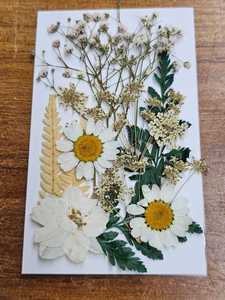 Lot de 12/15 fleurs séchées pressées artisanales en vrac pour créations en résine - Saint-Valentin et occasions de remise de diplômes - Product Image 2