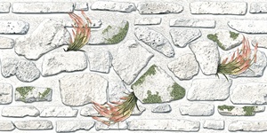 Carreaux muraux Premium Choice de qualité supérieure, carreaux d'élévation Asia Tiles 300x600mm pour articles de santé. - Product Image 3