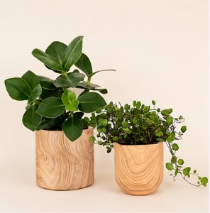 Macetas para Plantas de Interior con Textura de Madera Natural, Minimalistas y Decorativas, para Suculentas y Decoración del Hogar y la Oficina - Product Image 5