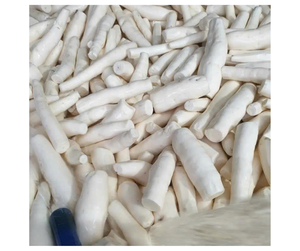 Raíz de mandioca congelada premium directamente de fábrica en Vietnam - Raíz de mandioca congelada limpia para procesamiento de alimentos congelados - Product Image 2